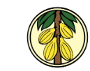 COCOBOD Ghana